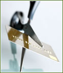  Debt Consolidation Loan